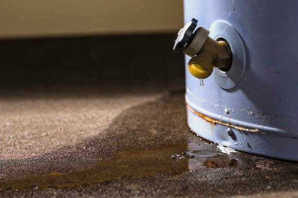 Best Carpet water damage restoration  in Solvay, NY