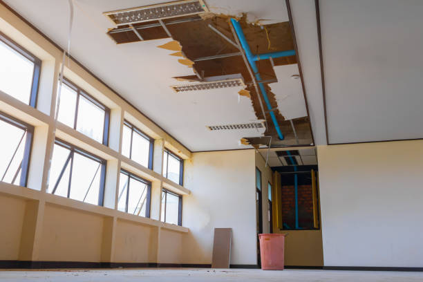 Best Local water damage restoration  in Solvay, NY