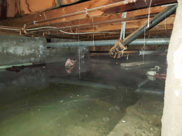 Best Ceiling water damage repair  in Solvay, NY