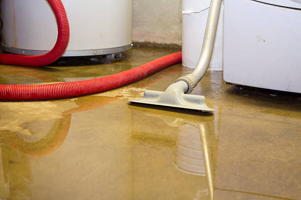 Best Commercial water damage restoration  in Solvay, NY