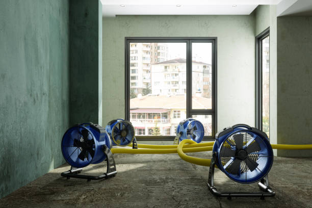 Best Water damage cleanup near me  in Solvay, NY
