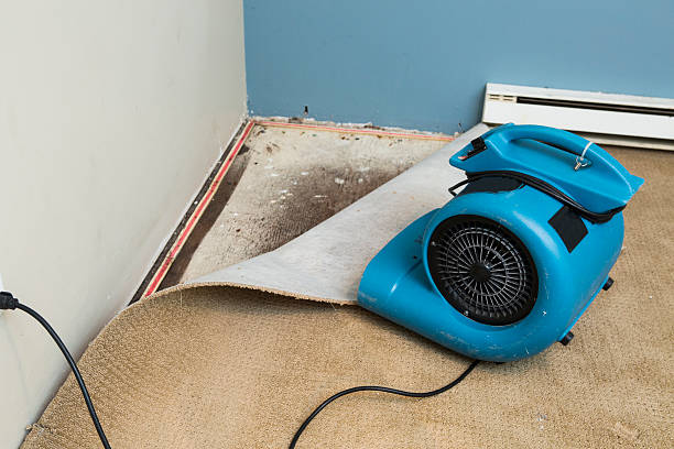  Solvay, NY Water damage restoration Pros